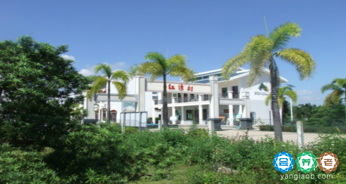 北海老年痴呆养老院,广西北海收认知症老人的养老院推荐
