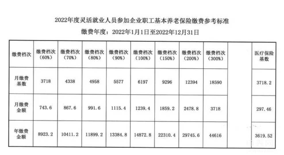 灵活就业缴费明细单 灵活就业缴费明细单