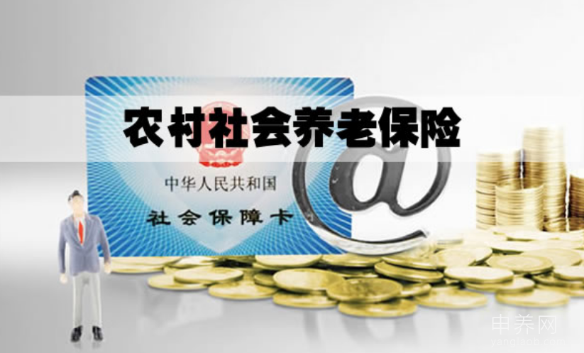 农村养老保险选择指南:哪个档次最划算? 农村养老保险选择指南:哪个档次最划算?