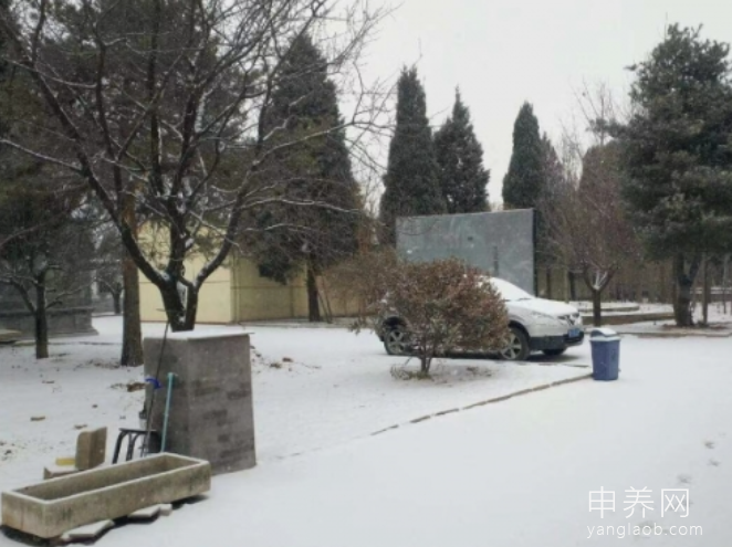 北京延生托养中心(植物人护理) 北京延生托养中心(植物人护理)