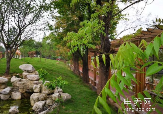 成都兰苑康养中心 成都兰苑康养中心