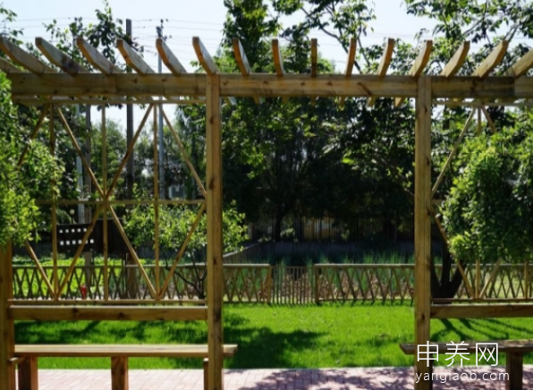 北京市通州区潞城敬老院(潞城养老照料中心) 北京市通州区潞城敬老院(潞城养老照料中心)