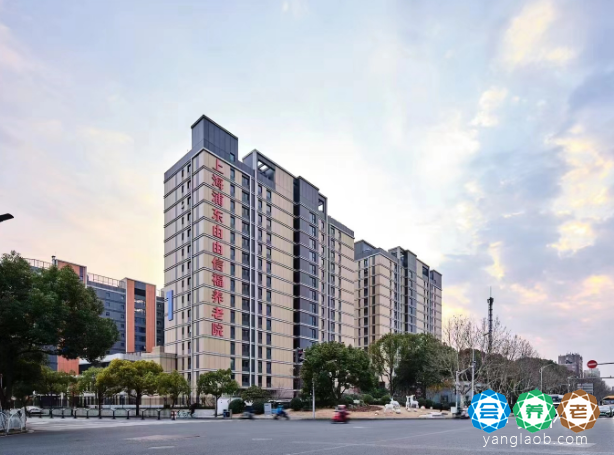 上海医养结合的养老院,上海浦东新区由由信福养老院在哪儿