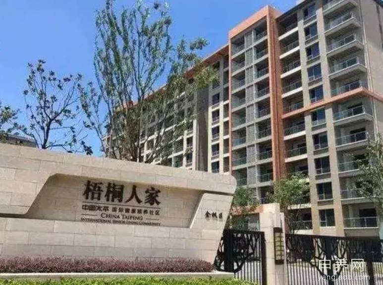 梧桐人家 梧桐人家