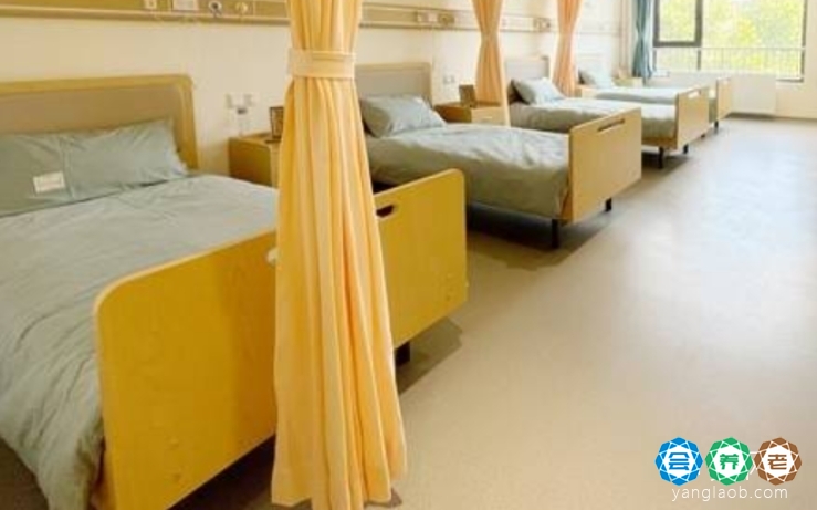 上海闵行区养老院排名,上海闵行区养老院有哪些