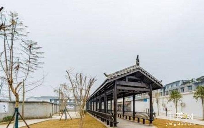 彭州威立康康护院 彭州威立康康护院