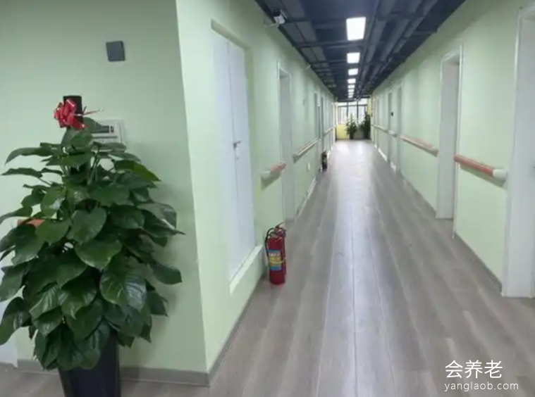 洛阳德家养老 洛阳德家养老