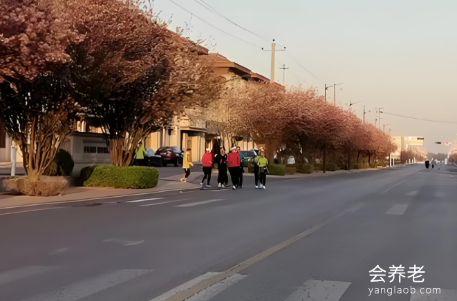 精选临沂服务好的养老院,临沂服务好的养老院电话及地址