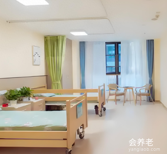 宏善养老麻柳嘴院 宏善养老麻柳嘴院