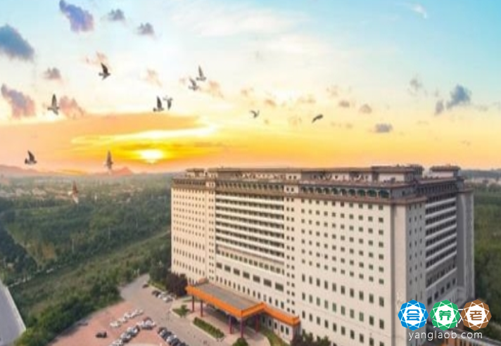 九华山庄全龄颐养社区外景1