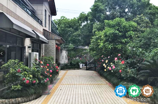 上海豪锦粤秀养老院外景1