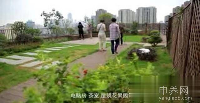 上海虹口区嘉兴路街道天宝养老院环境