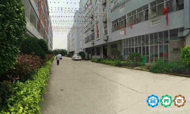 福清音西夕阳乐乐乐之家