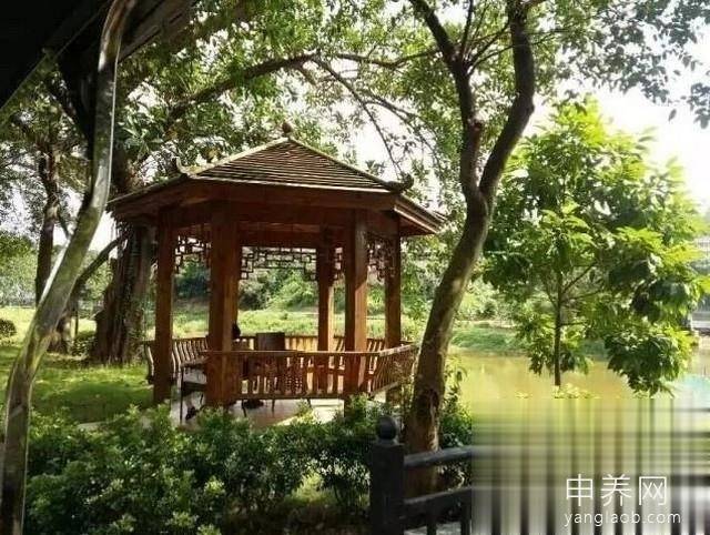 广州市天鹿湖老年人护理中心环境