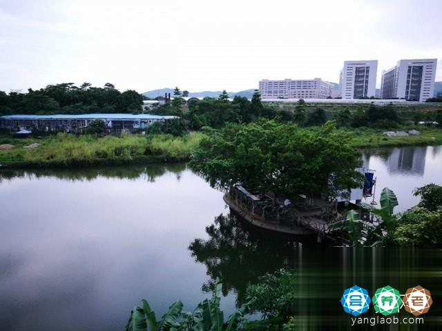 深圳市任达爱心护理院（深圳生态养生园）