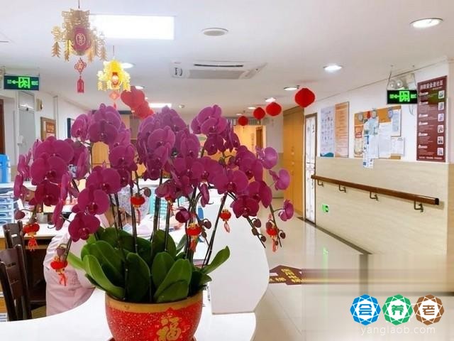广州南国颐景老年公寓环境3