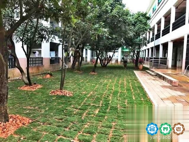 深圳市宝安区燕罗街道颐年院