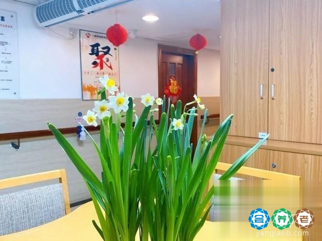 广州南国颐景老年公寓环境2