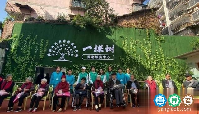 上饶市一棵树养老服务中心（信州区茶山花苑）