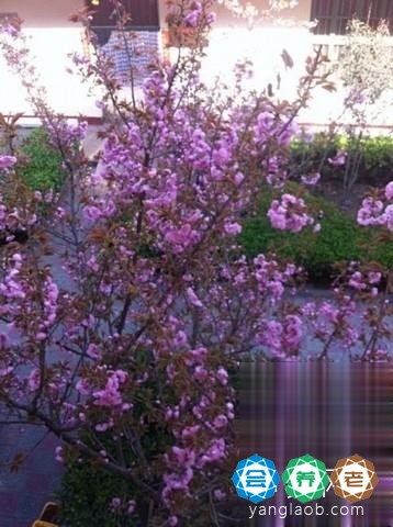 新乡市福康中心养老院环境9