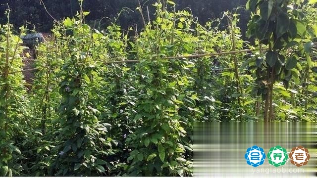 新乡市基督教爱德养老院环境3