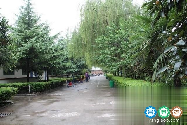新乡市福康中心养老院环境8