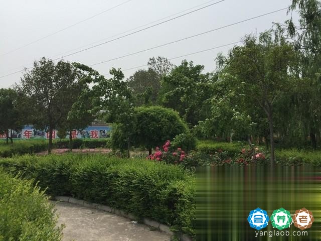 新乡市爱心枫乐园外景2