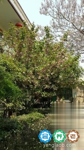 新乡市福康中心养老院环境3