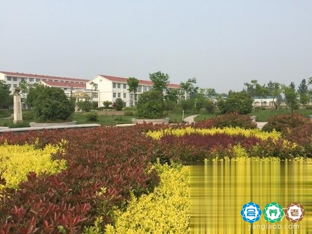 新乡市爱心枫乐园