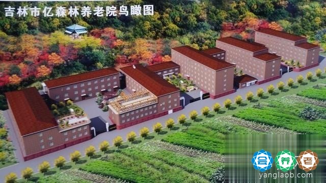 吉林市丰满区亿森林养老院
