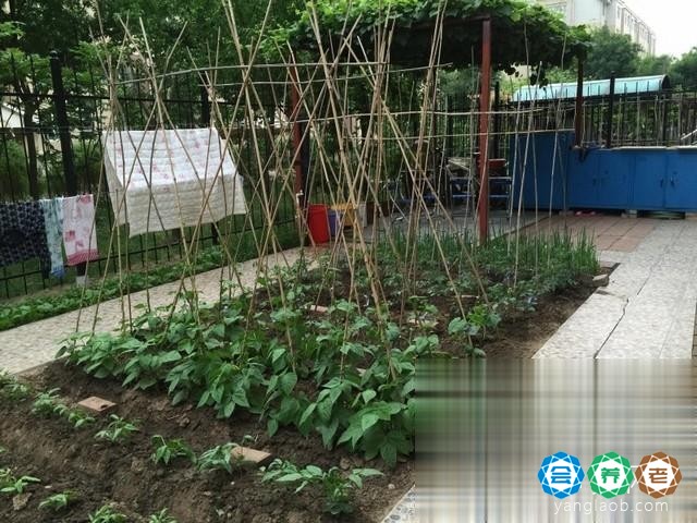 沈阳市皇姑区居家型护理院
