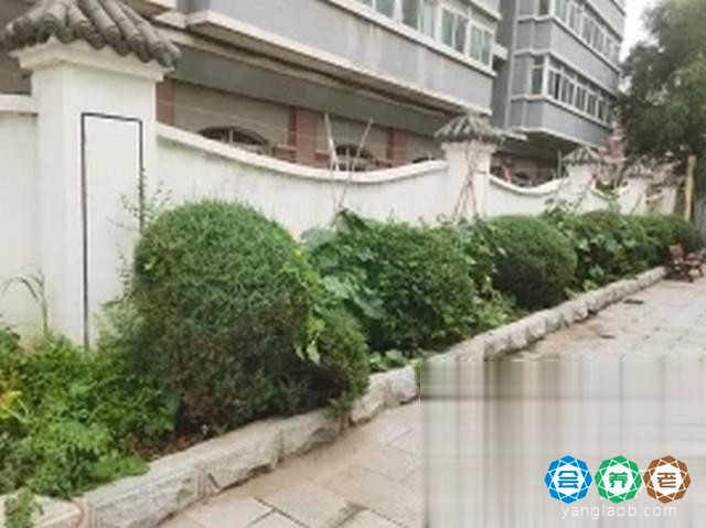 沈阳市大东区枫嘉康养服务中心