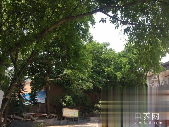 重庆市九龙坡区百年康养老院外景