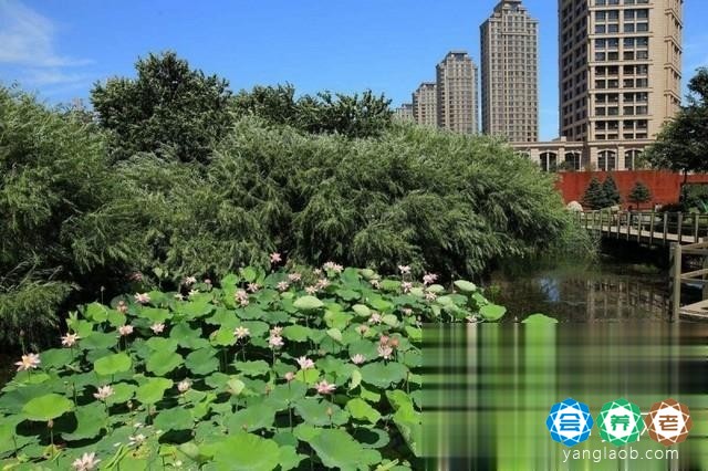 优护养老照护中心