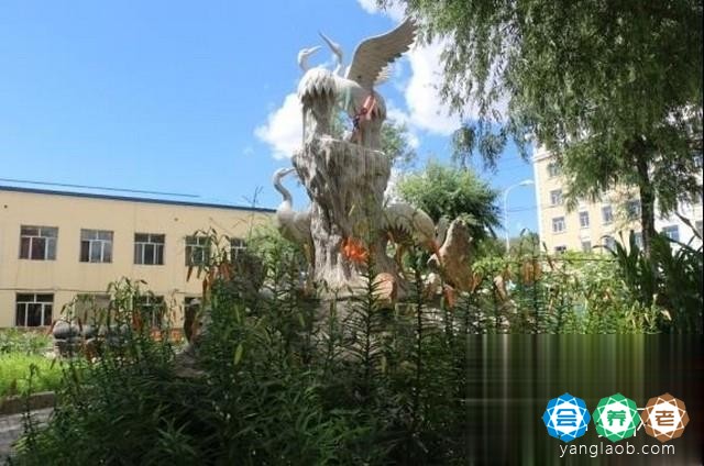 齐齐哈尔市铁锋区夕阳红托养院环境7