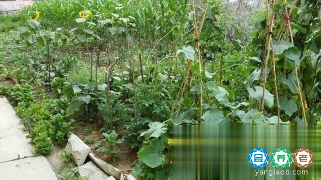 幸福园老年公寓环境9