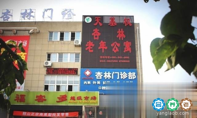 杏林养老产业发展（大连）有限公司