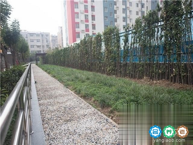 山东乐龄医养护理院