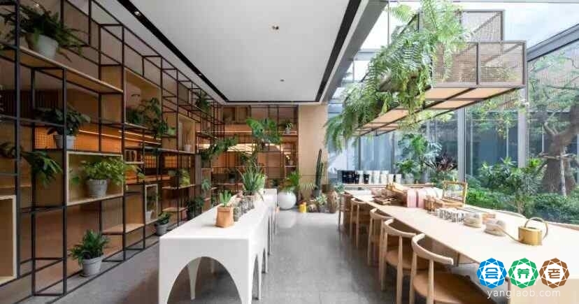 路劲隽芳华养老社区环境30