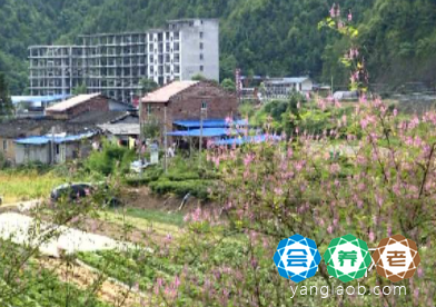 福建省南平市政和县石屯镇敬老院