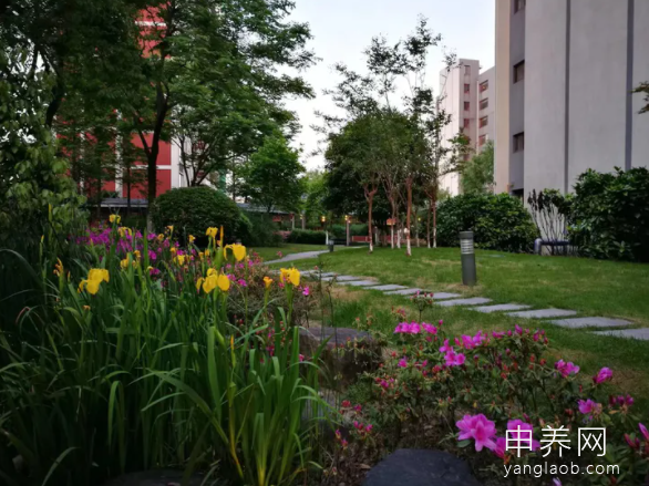 上海亲和源养老社区环境4
