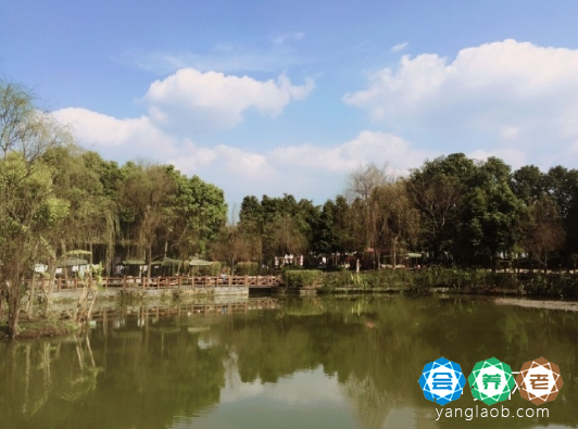 成都锦欣花乡老年公寓外景4