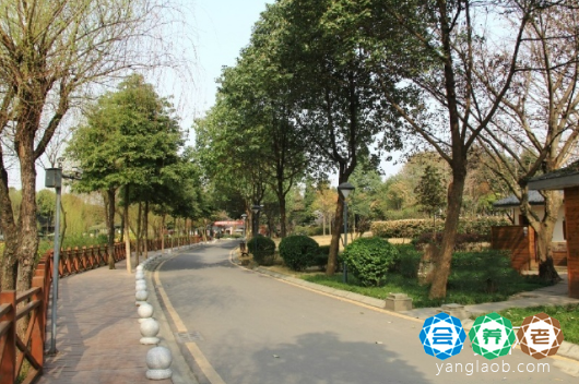 成都锦欣花乡老年公寓外景2
