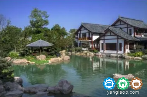 铁山坪森林海养老院