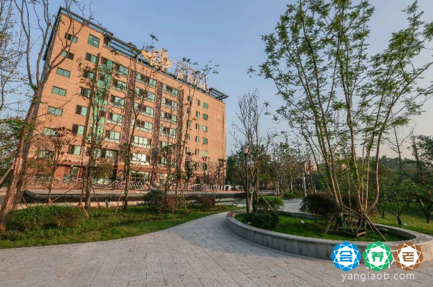 两江新区第一人民医院康复养老中心外景2