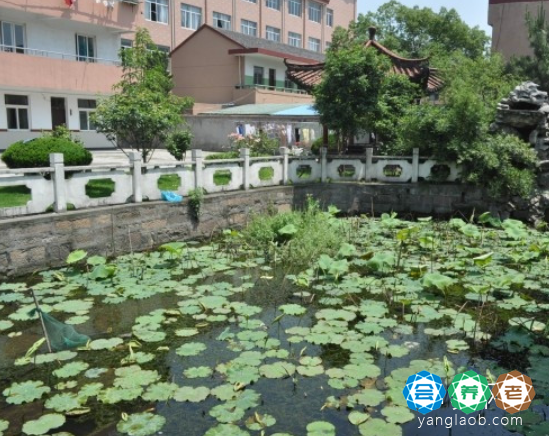 杭州市余杭区塘栖镇敬老院
