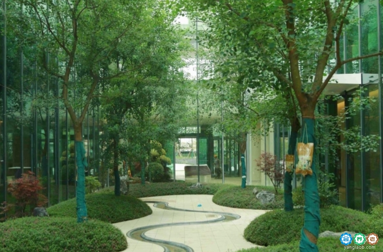 成都京东方智慧医养社区-锦城拾光外景5