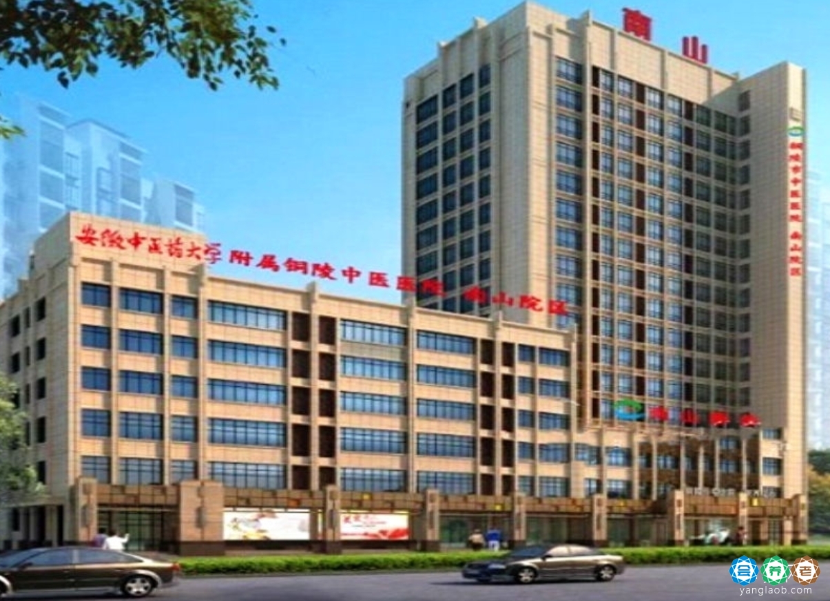 铜陵市中医医院南山康养中心