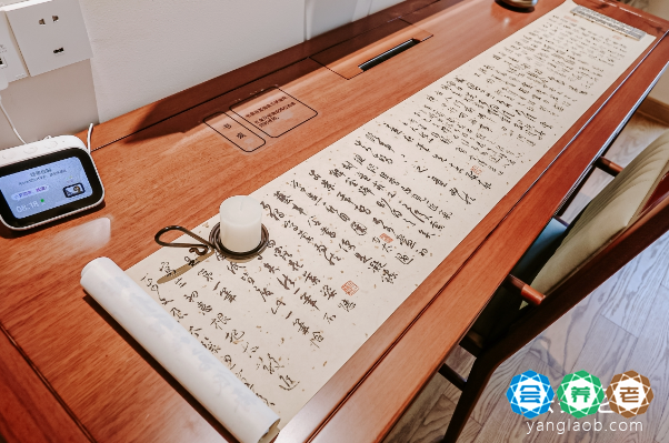 成都太保家园国际颐养社区活动19